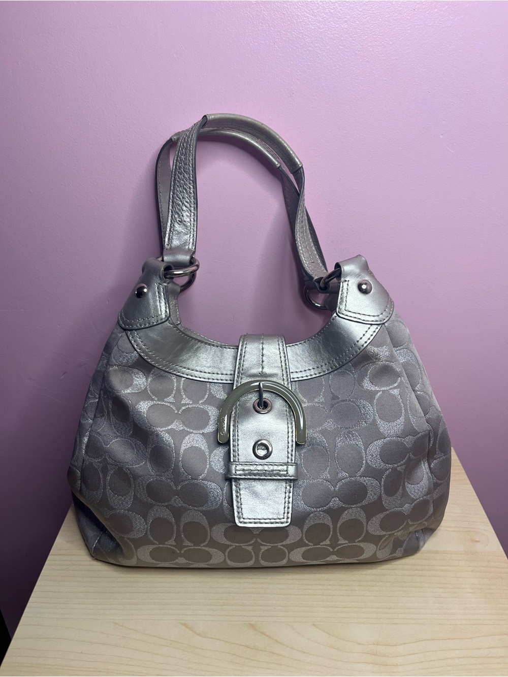 Coach Metallic Silver Lynn soho Hobo Bag